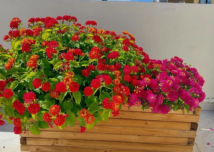 The Little Big Apartment In The Heart Of Heraklion