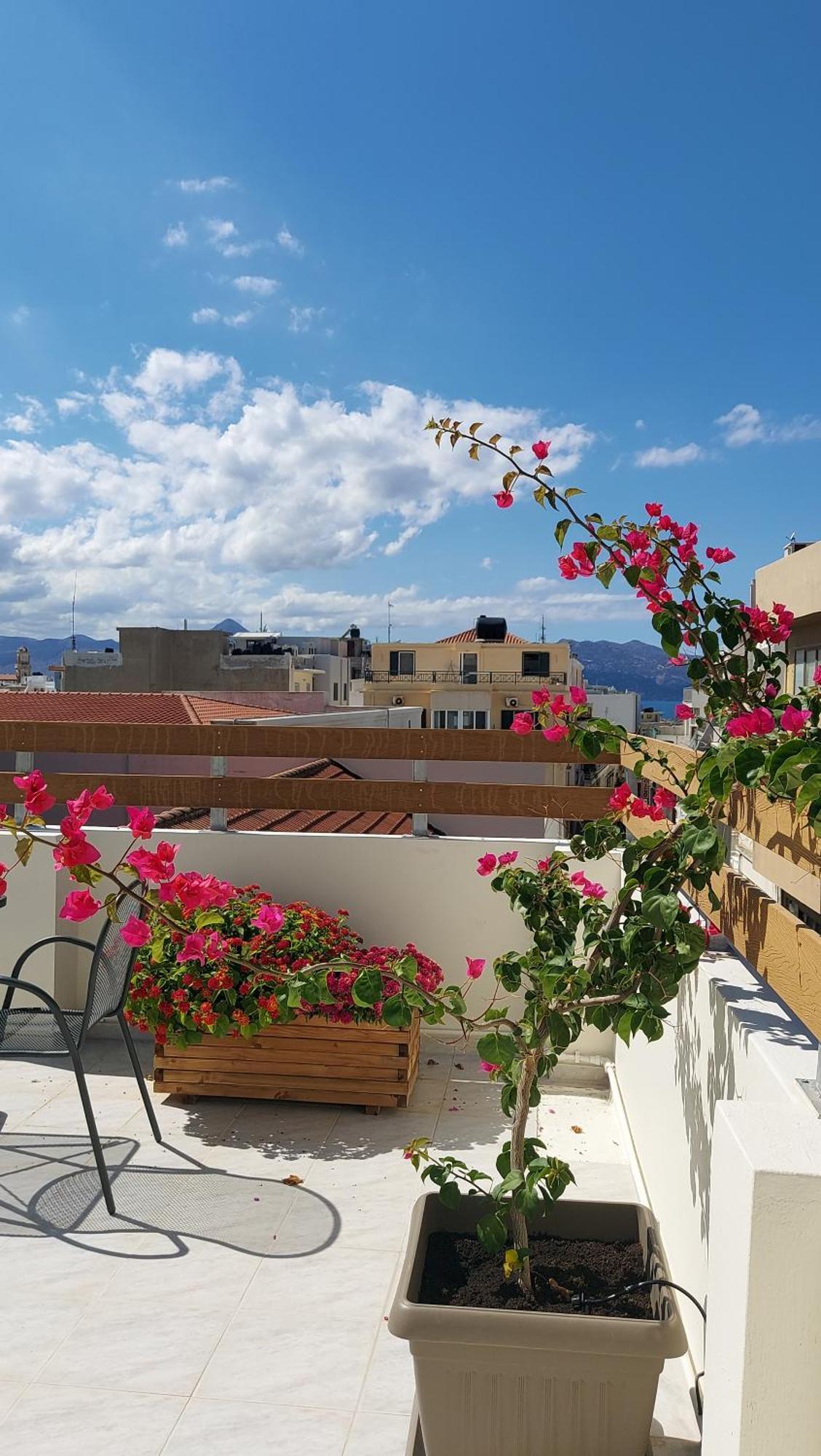 Appartement The Little Big In The Heart Of *