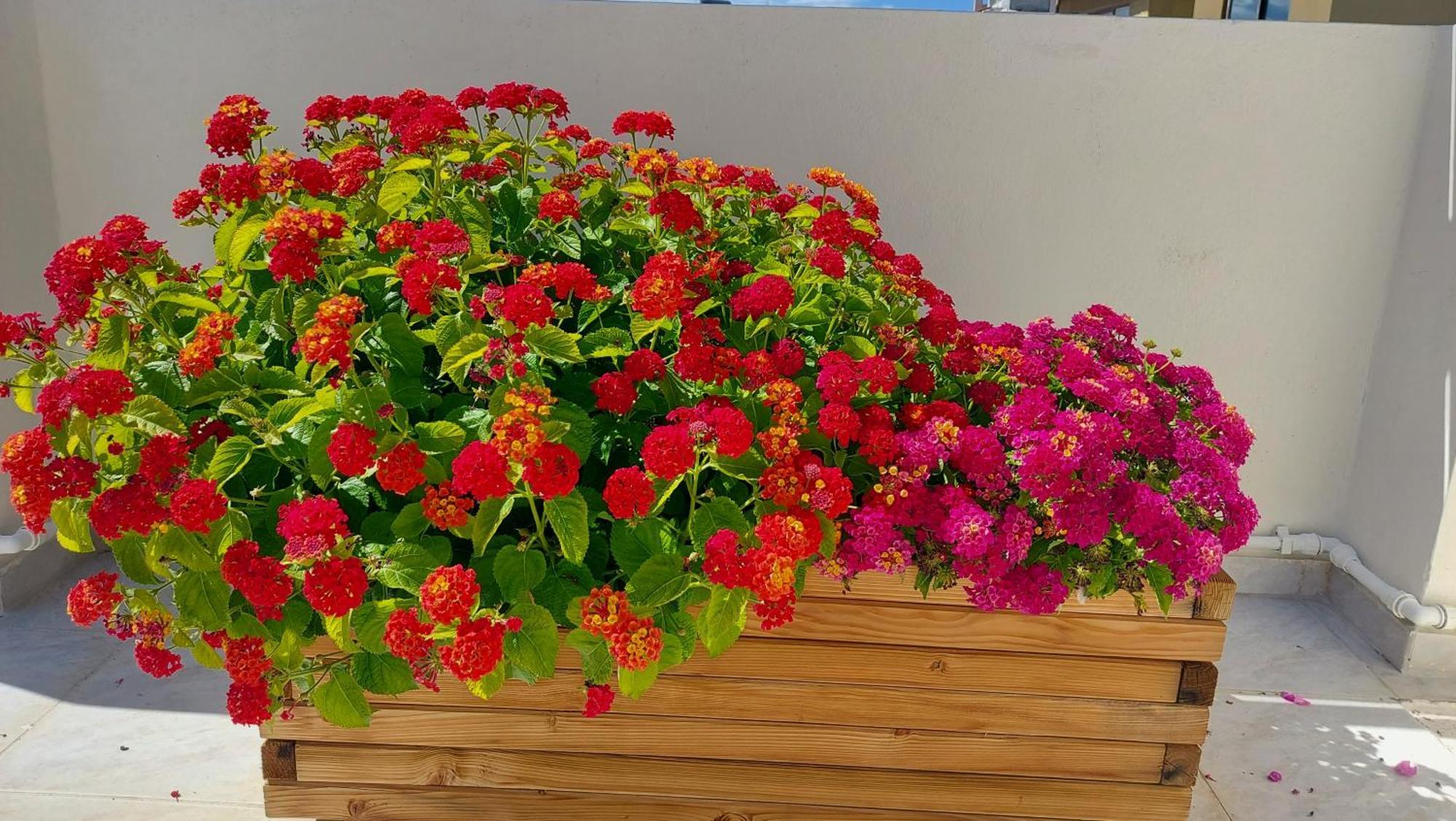 Apartment The Little Big In The Heart Of Heraklion (Crete)